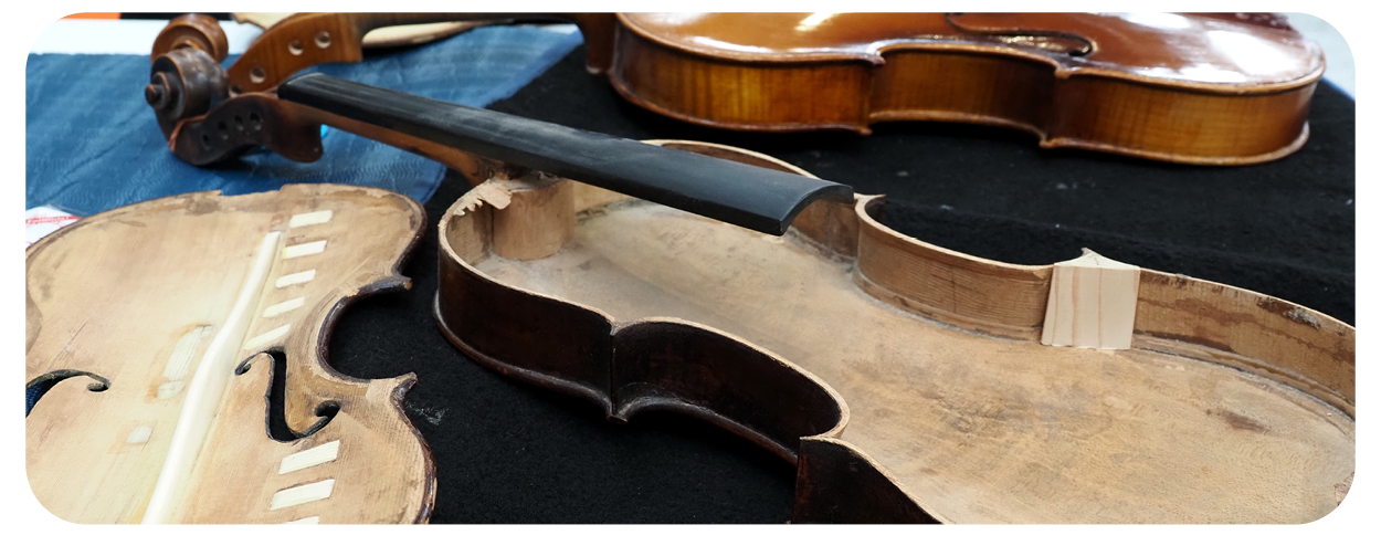 Maggio in Musica a Bologna: formazione, strumenti, workshop, concerti.